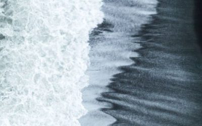 Becoming our own expert