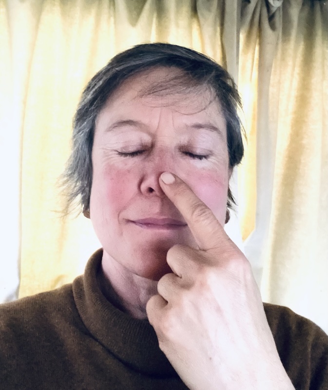 person touching nose with eyes closed demonstrating proprioception